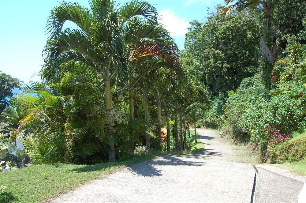 Sailfish Beach Villas Anse a La Mouche Esterno foto